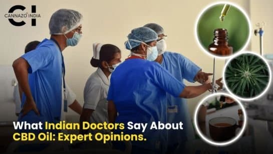 What Indian doctors know about cannabis and won’t say out loud