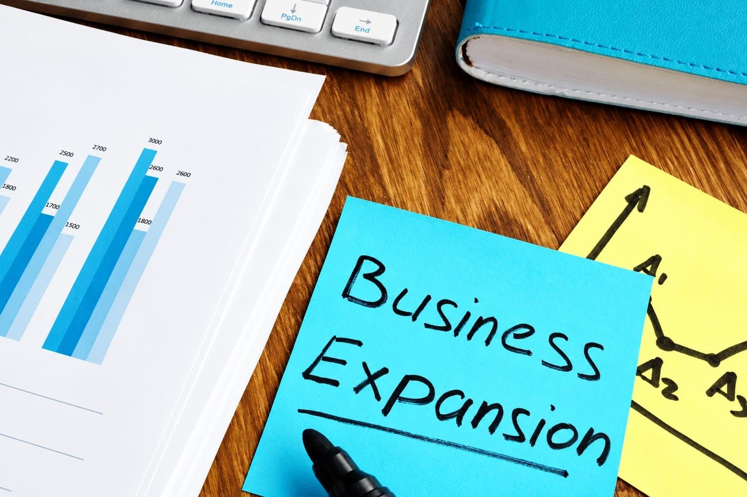 The Growth Fallacy: Why Expansion Is a Trap in the Indian Business Landscape